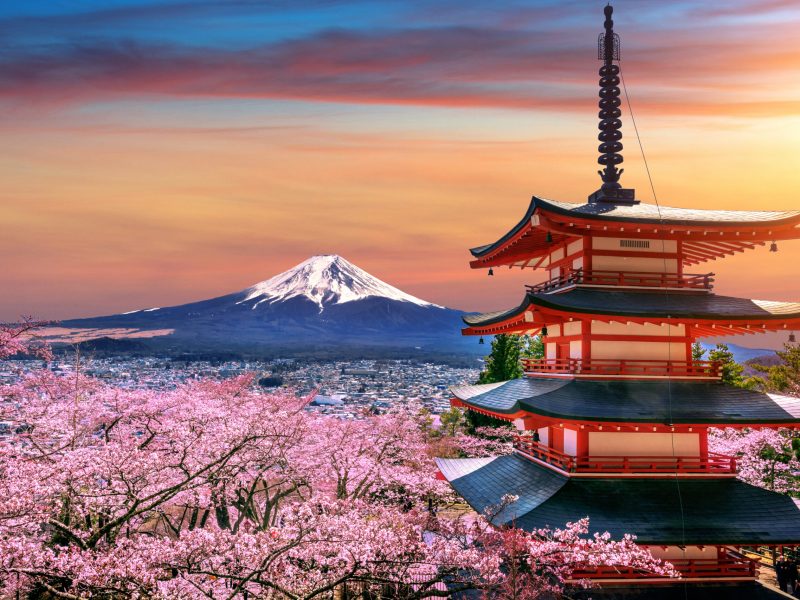 Cherry blossoms in spring, Chureito pagoda and Fuji mountain at sunset in Japan.